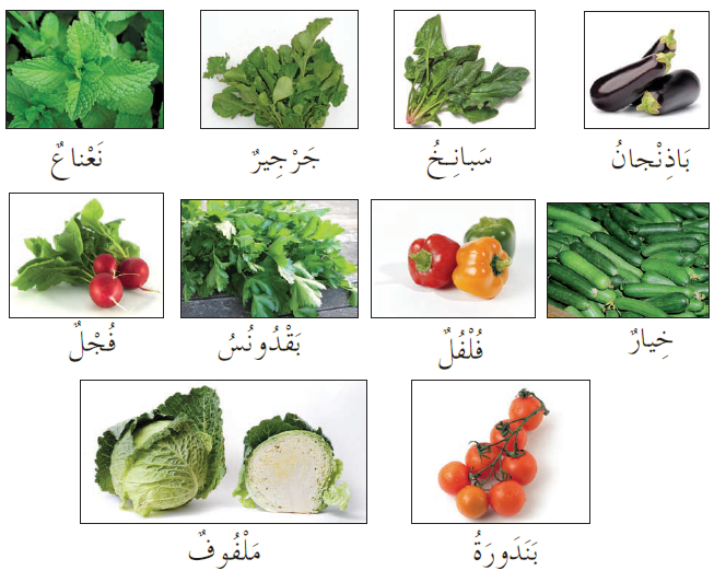 صنف النباتات الآتية بحسب طريقة زراعتها: بالخطوط (الأتلام) أو (بالأحواض) 